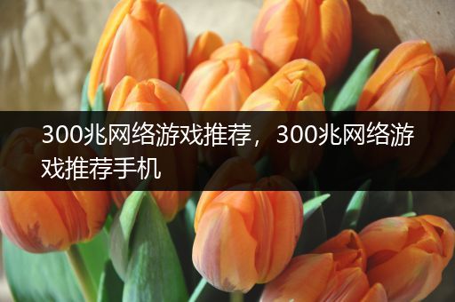 300兆网络游戏推荐，300兆网络游戏推荐手机