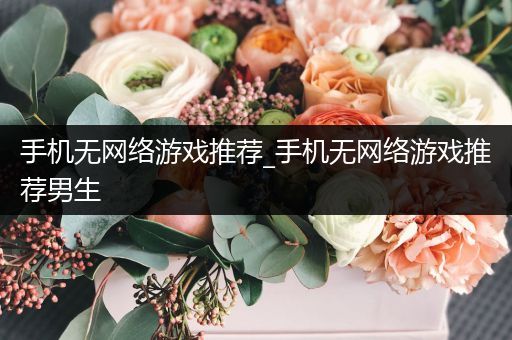 手机无网络游戏推荐_手机无网络游戏推荐男生