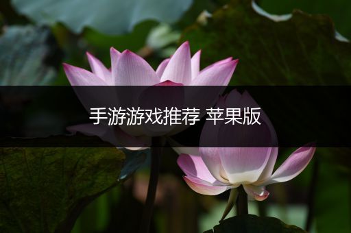 手游游戏推荐 苹果版
