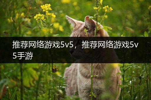 推荐网络游戏5v5，推荐网络游戏5v5手游
