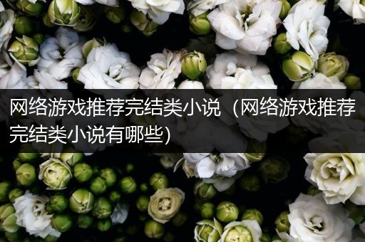 网络游戏推荐完结类小说（网络游戏推荐完结类小说有哪些）