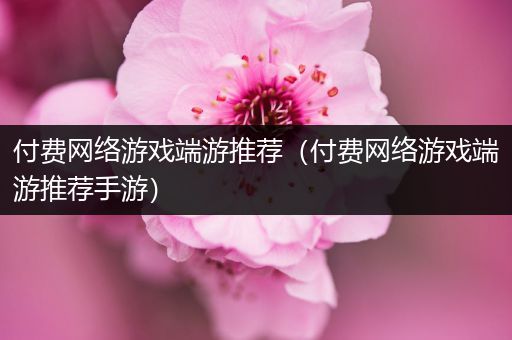 付费网络游戏端游推荐（付费网络游戏端游推荐手游）