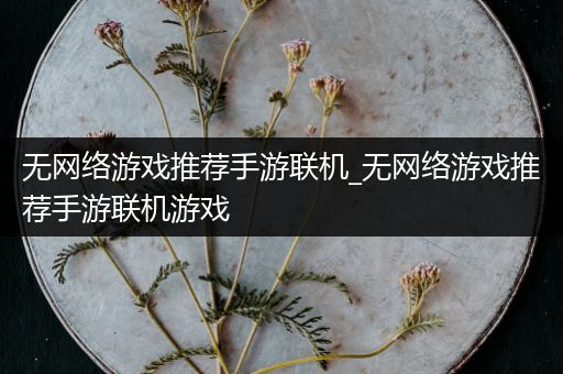 无网络游戏推荐手游联机_无网络游戏推荐手游联机游戏