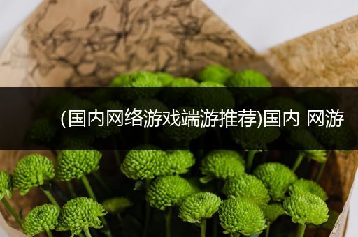 （国内网络游戏端游推荐)国内 网游