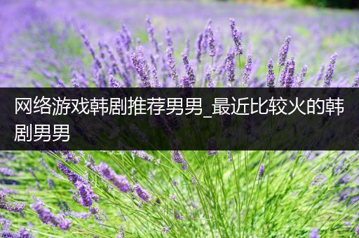 网络游戏韩剧推荐男男_最近比较火的韩剧男男