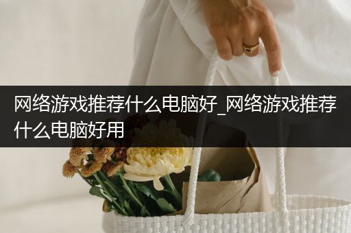 网络游戏推荐什么电脑好_网络游戏推荐什么电脑好用