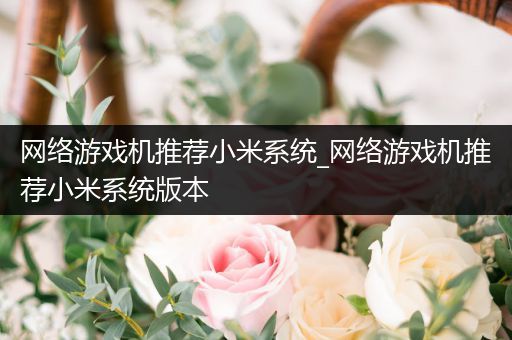 网络游戏机推荐小米系统_网络游戏机推荐小米系统版本