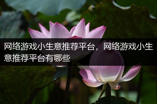 网络游戏小生意推荐平台，网络游戏小生意推荐平台有哪些