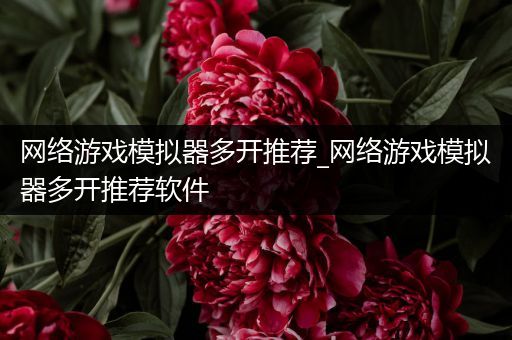 网络游戏模拟器多开推荐_网络游戏模拟器多开推荐软件