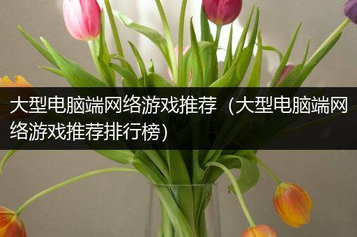 大型电脑端网络游戏推荐（大型电脑端网络游戏推荐排行榜）