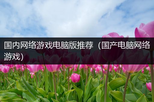 国内网络游戏电脑版推荐（国产电脑网络游戏）