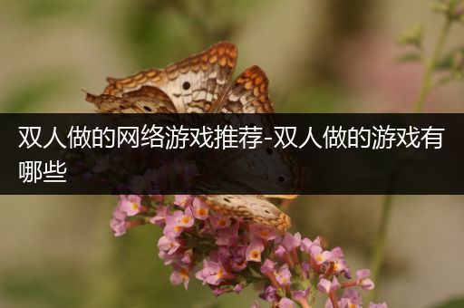 双人做的网络游戏推荐-双人做的游戏有哪些