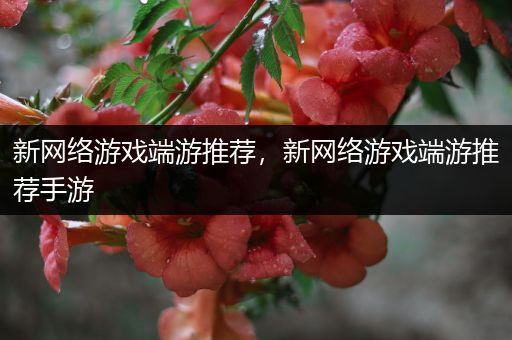 新网络游戏端游推荐，新网络游戏端游推荐手游