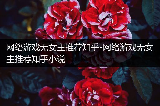 网络游戏无女主推荐知乎-网络游戏无女主推荐知乎小说