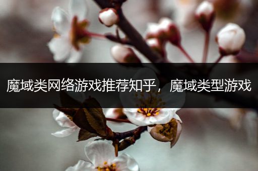 魔域类网络游戏推荐知乎，魔域类型游戏