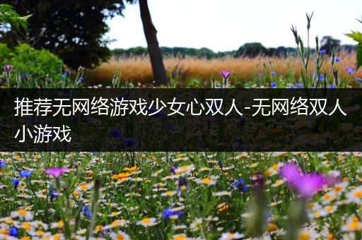 推荐无网络游戏少女心双人-无网络双人小游戏