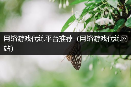 网络游戏代练平台推荐（网络游戏代练网站）