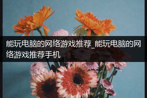 能玩电脑的网络游戏推荐_能玩电脑的网络游戏推荐手机