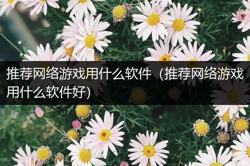 推荐网络游戏用什么软件（推荐网络游戏用什么软件好）