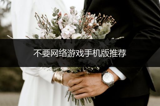 不要网络游戏手机版推荐
