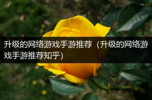 升级的网络游戏手游推荐（升级的网络游戏手游推荐知乎）