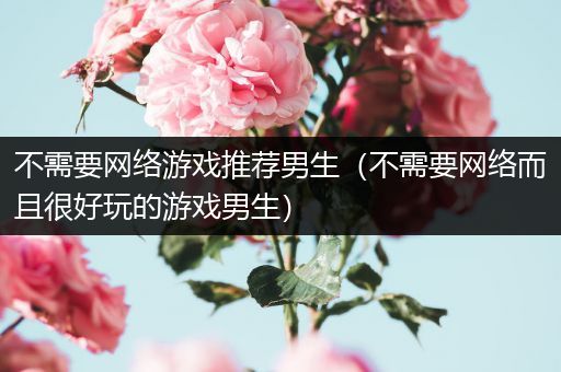 不需要网络游戏推荐男生（不需要网络而且很好玩的游戏男生）