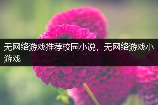 无网络游戏推荐校园小说，无网络游戏小游戏