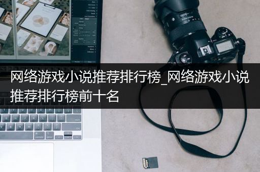 网络游戏小说推荐排行榜_网络游戏小说推荐排行榜前十名