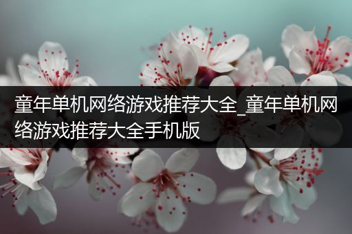 童年单机网络游戏推荐大全_童年单机网络游戏推荐大全手机版