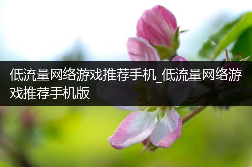 低流量网络游戏推荐手机_低流量网络游戏推荐手机版