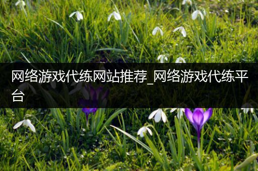 网络游戏代练网站推荐_网络游戏代练平台