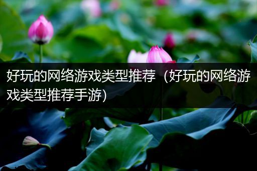 好玩的网络游戏类型推荐（好玩的网络游戏类型推荐手游）
