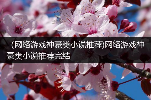 （网络游戏神豪类小说推荐)网络游戏神豪类小说推荐完结