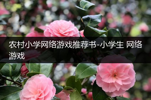 农村小学网络游戏推荐书-小学生 网络游戏
