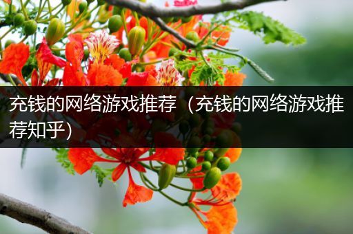 充钱的网络游戏推荐（充钱的网络游戏推荐知乎）