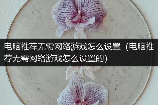 电脑推荐无需网络游戏怎么设置（电脑推荐无需网络游戏怎么设置的）