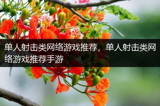 单人射击类网络游戏推荐，单人射击类网络游戏推荐手游