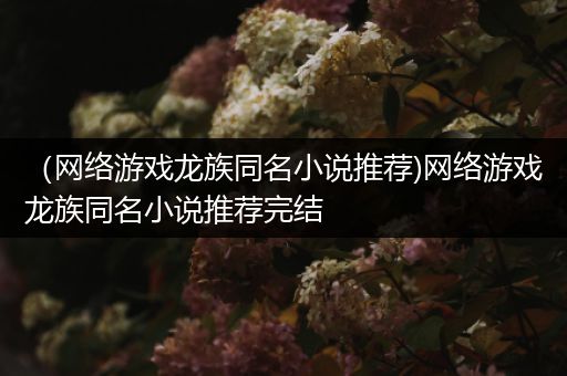 （网络游戏龙族同名小说推荐)网络游戏龙族同名小说推荐完结