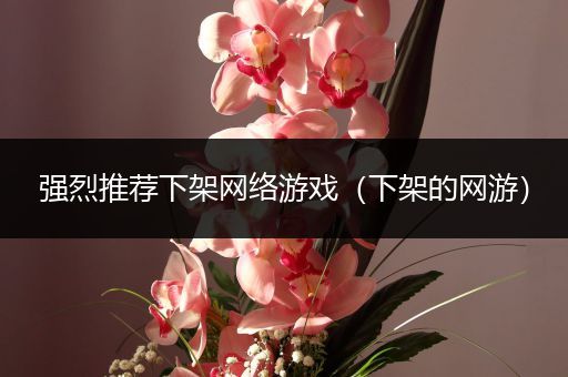强烈推荐下架网络游戏（下架的网游）