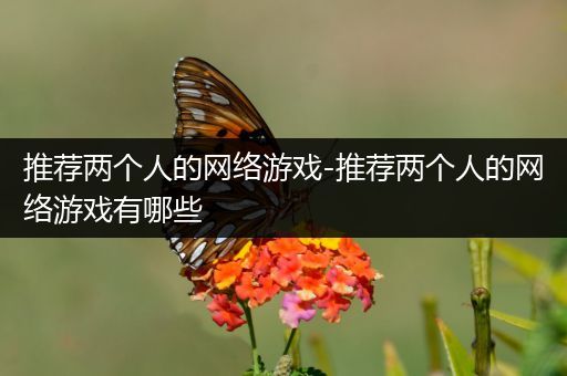 推荐两个人的网络游戏-推荐两个人的网络游戏有哪些