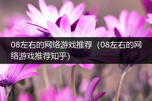 08左右的网络游戏推荐（08左右的网络游戏推荐知乎）