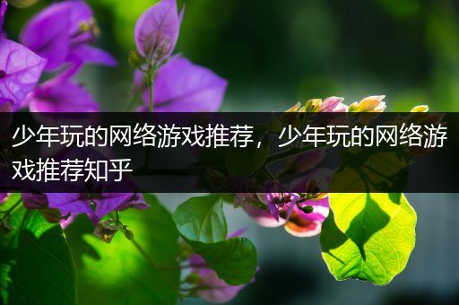 少年玩的网络游戏推荐，少年玩的网络游戏推荐知乎