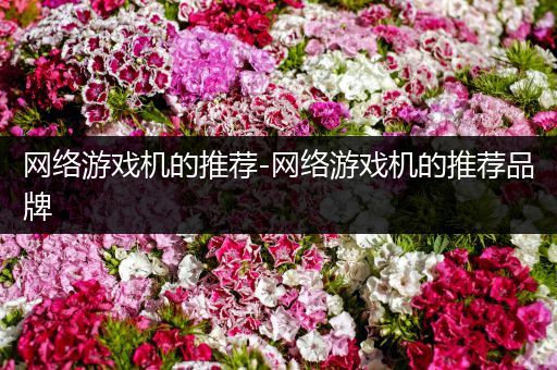网络游戏机的推荐-网络游戏机的推荐品牌