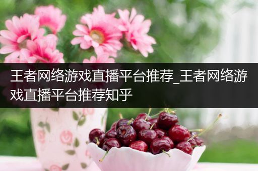 王者网络游戏直播平台推荐_王者网络游戏直播平台推荐知乎