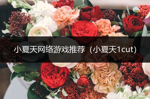 小夏天网络游戏推荐（小夏天1cut）