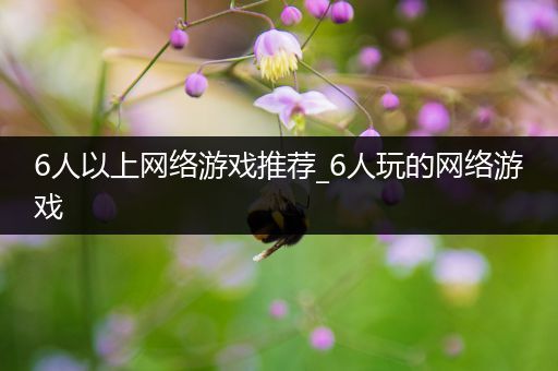 6人以上网络游戏推荐_6人玩的网络游戏