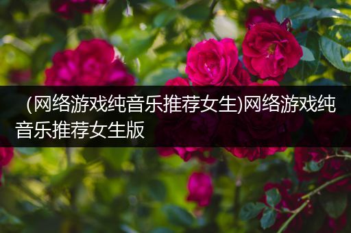 （网络游戏纯音乐推荐女生)网络游戏纯音乐推荐女生版