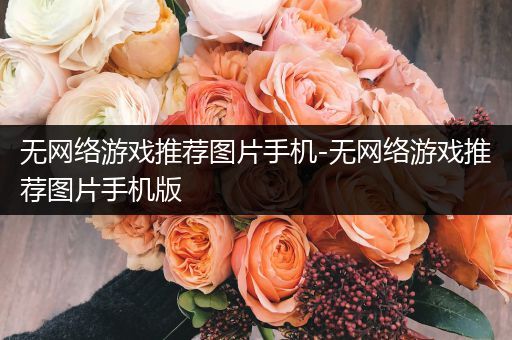 无网络游戏推荐图片手机-无网络游戏推荐图片手机版