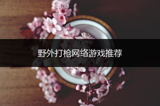 野外打枪网络游戏推荐