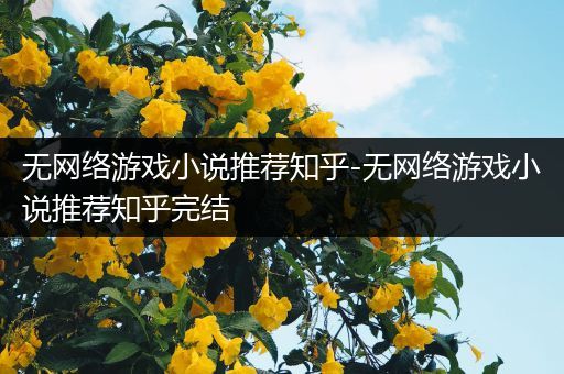 无网络游戏小说推荐知乎-无网络游戏小说推荐知乎完结